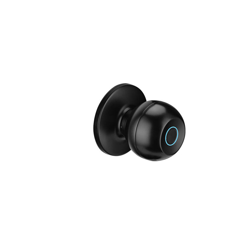 Cerradura biométrica perilla E-Nova Ball | NK21